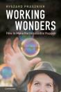 Working Wonders - Preview