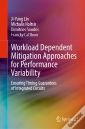 Workload Dependent Mitigation Approaches For Performance Variability