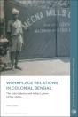 Workplace Relations In Colonial Bengal - Preview