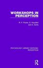 Workshops In Perception - Preview