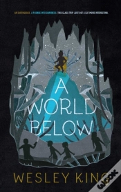 Capa do artigo World Below