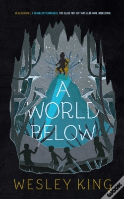 Capa do artigo World Below