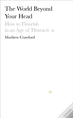 Capa do artigo World Beyond Your Head