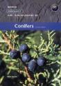 World Checklist And Bibliography Of Conifers - Preview