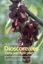 World Checklist Of Dioscoreales - Preview