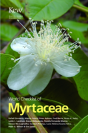 World Checklist Of Myrtaceae - Preview