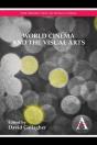 World Cinema And The Visual Arts - Preview