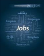 World Development Report 2013 - Preview