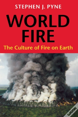 Capa do artigo World Fire