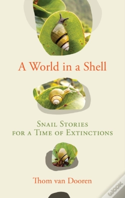 Capa do artigo World In A Shell