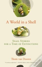 World In A Shell