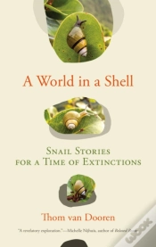 Capa do artigo World In A Shell
