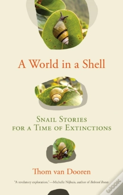 Capa do artigo World In A Shell