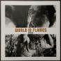 World In Flames - Vinil - Preview
