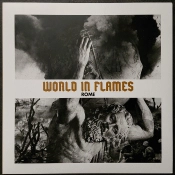 Capa do artigo World In Flames - Vinil