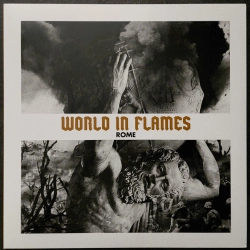 Capa do artigo World In Flames - Vinil