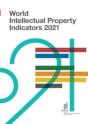World Intellectual Property Indicators 2021 - Preview