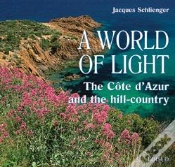 Capa do artigo World Of Light A
