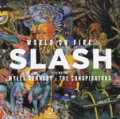 Capa do artigo World On Fire - CD