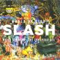 World On Fire - Vinil - Preview