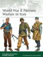 World War Ii Partisan Warfare In Italy - Preview