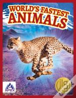 Worldâ€™S Fastest Animals