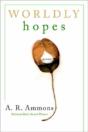 Worldly Hopes - Preview