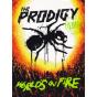 World's On Fire - CD - Preview