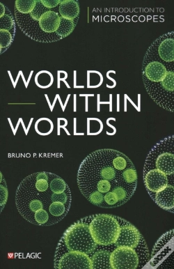 Capa do artigo Worlds Within Worlds