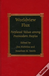 Capa do artigo Worldview Flux