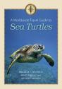 Worldwide Travel Guide To Sea Turtles - Preview