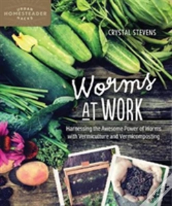 Capa do artigo Worms At Work