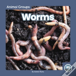 Capa do artigo Worms