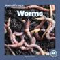Worms - Preview