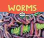 Worms - Preview