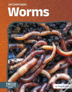 Capa do artigo Worms