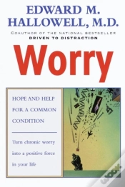 Capa do artigo Worry