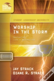 Capa do artigo Worship In The Storm