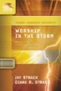 Worship In The Storm - Preview