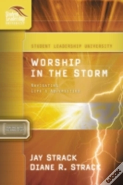 Capa do artigo Worship In The Storm
