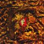 Worst Case Scenario (30th Anniversary Edition) - Vinil - Preview