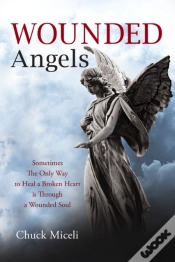 Capa do artigo Wounded Angels