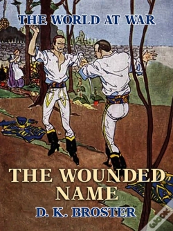 Capa do artigo Wounded Name