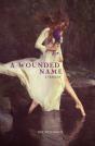 Wounded Name - Preview