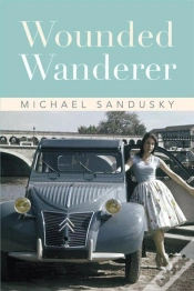 Capa do artigo Wounded Wanderer