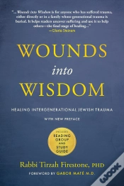 Capa do artigo Wounds Into Wisdom