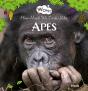 Wow! Apes. How Much We Look Alike - Preview
