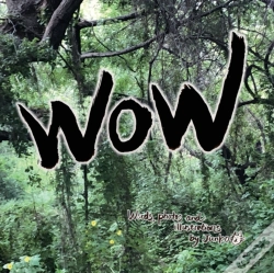 Capa do artigo Wow By Junko