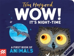 Capa do artigo Wow! It'S Night-Time