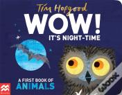 Wow! It'S Night-Time